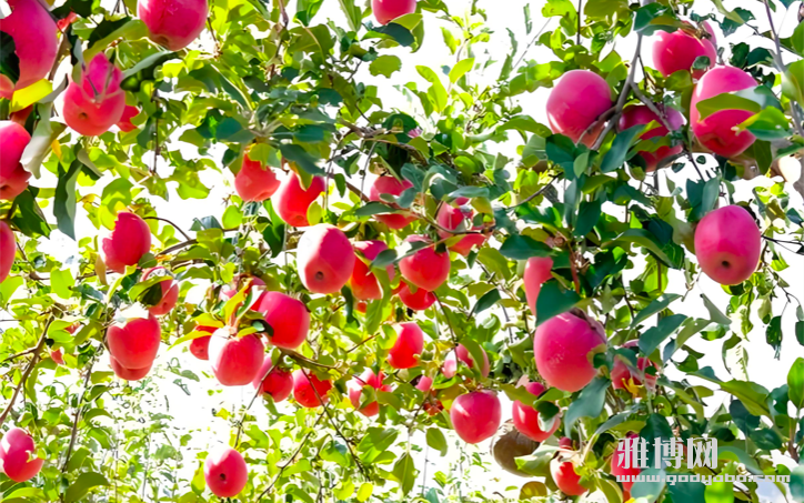 ����2026-02-02 09.16.15.png