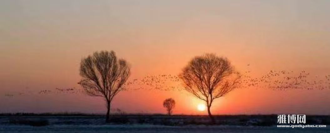 �����ȹ̵�����