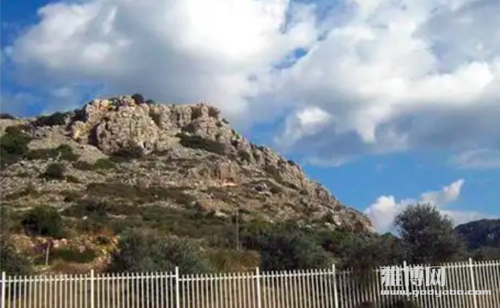 ����2026-03-28 17.49.08.png