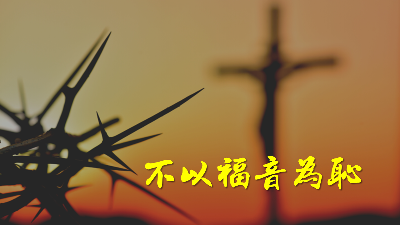 ʲô�Ǹ�������