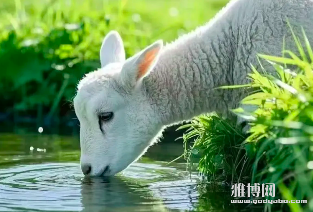 ����2026-03-23 08.49.39.png