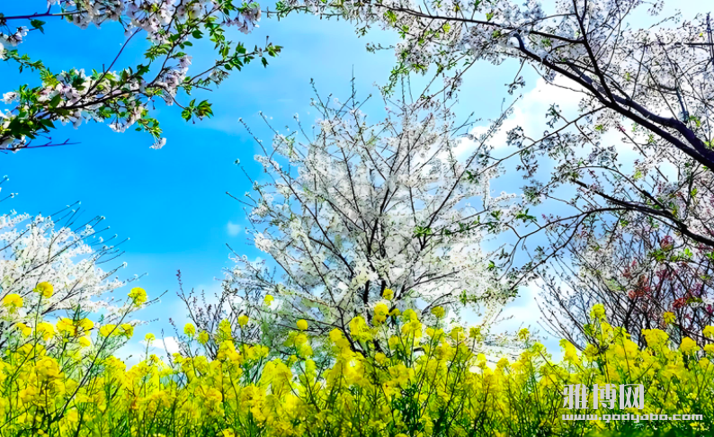 ����2026-04-11 16.24.04.png