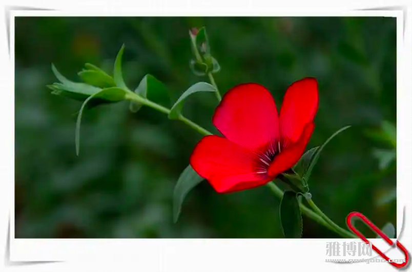 ����2026-04-25 10.54.47.png