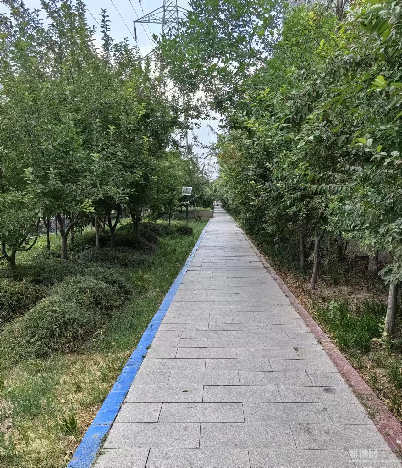 ��·.jpg