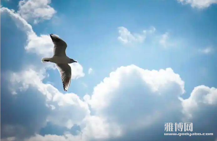 ����2026-06-05 20.19.59.png