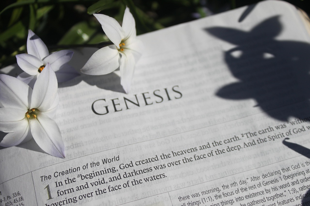 bible-4058431_1280.jpg